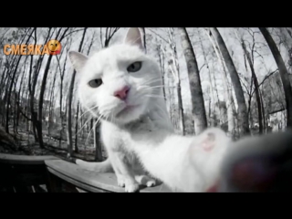 Приколы апрель 2016 №41