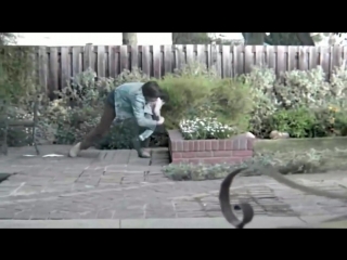 Папы-это сила!